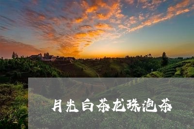 月光白茶龙珠泡茶/2023062174835