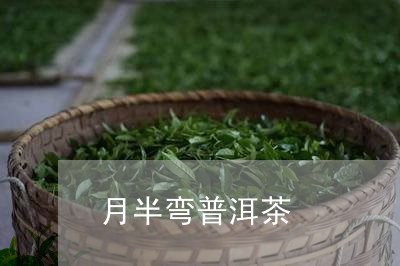 月半弯普洱茶/2023042673385