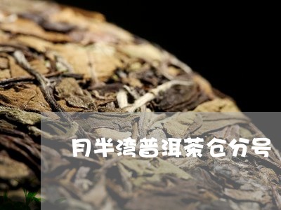 月半湾普洱茶仓分号/2023101795038