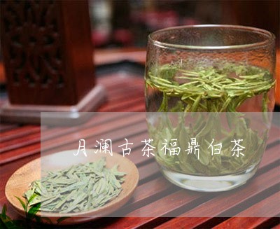 月澜古茶福鼎白茶/2023062182614