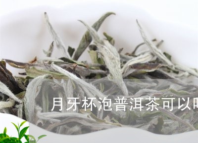 月牙杯泡普洱茶可以吗/2023063075958