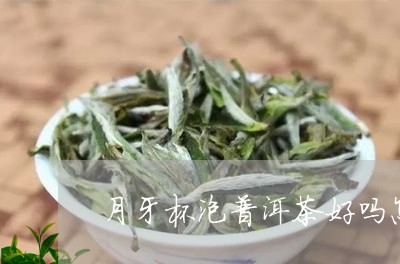 月牙杯泡普洱茶好吗怎么泡/2023110770952