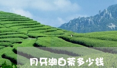 月牙湖白茶多少钱/2023062168502