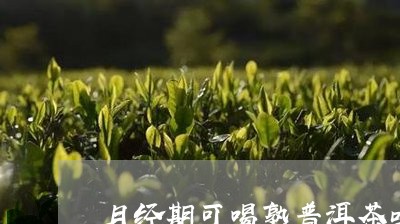 月经期可喝熟普洱茶吗/2023092621616