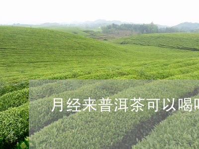 月经来普洱茶可以喝吗冬天/2023121788182