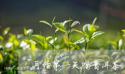 月经第一天喝普洱茶/2023091579694