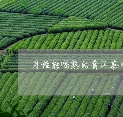 月经能喝熟的普洱茶吗/2023092762693