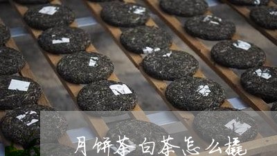 月饼茶白茶怎么撬/2023062108269