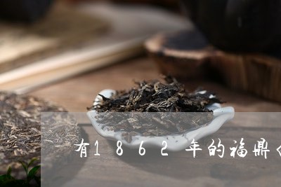 有1862年的福鼎白茶吗/2023062775169