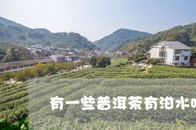 有一些普洱茶有泔水味/2023092680604