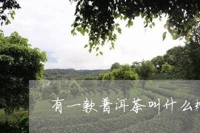 有一款普洱茶叫什么糯/2023061529392