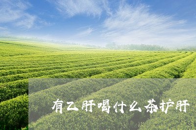 有乙肝喝什么茶护肝/2023042190683