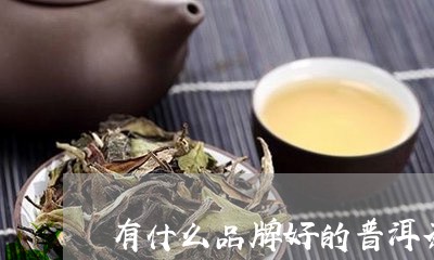 有什么品牌好的普洱茶/2023092993915