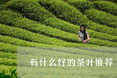 有什么好的茶叶推荐/2023042688483