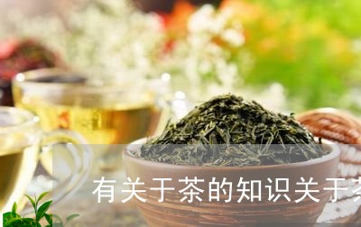 有关于茶的知识关于茶的知识点/2023053186170