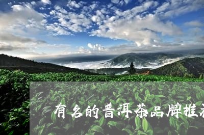 有名的普洱茶品牌推荐/2023062574147