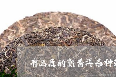 有品质的熟普洱茶种类有多少/2023121782926