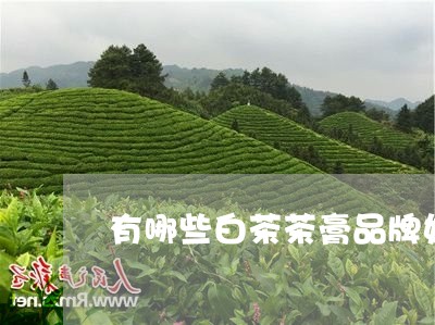 有哪些白茶茶膏品牌好喝/2023102708260