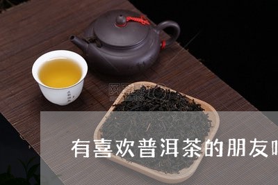 有喜欢普洱茶的朋友吗/2023120736169