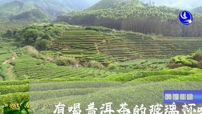 有喝普洱茶的玻璃杯吗/2023061587270