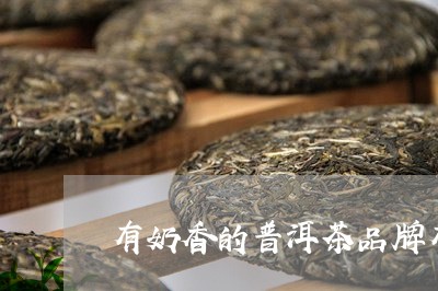 有奶香的普洱茶品牌有哪些/2023112487057