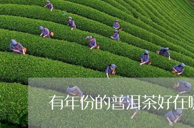 有年份的普洱茶好在哪/2023062279371