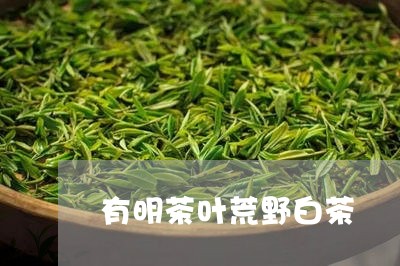 有明茶叶荒野白茶/2023062113725