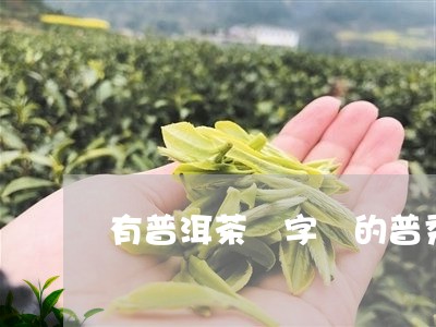 有普洱茶廠字樣的普秀/2023061576492