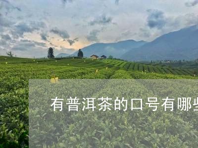 有普洱茶的口号有哪些/2023112766170