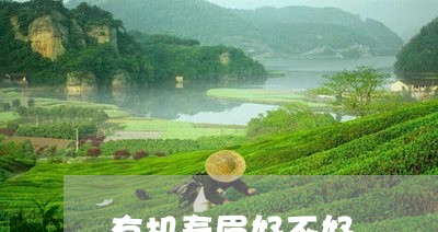 有机寿眉好不好/2023112501815