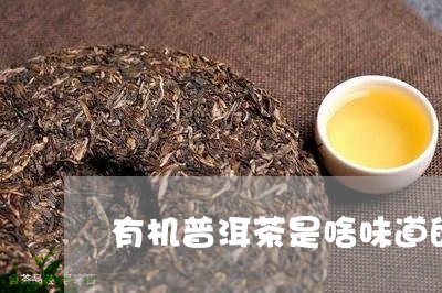 有机普洱茶是啥味道的呀/2023120755158