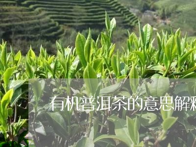 有机普洱茶的意思解释是什么/2023052860594