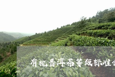 有机普洱茶等级标准价格/2023050610682