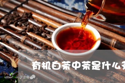 有机白茶中茶是什么茶类/2023102641703