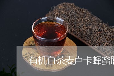 有机白茶麦卢卡蜂蜜唇膏/2023102694926