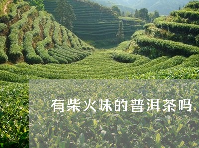 有柴火味的普洱茶吗/2023112738471