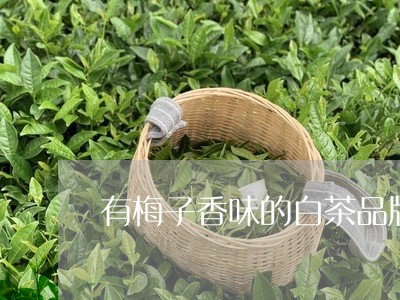 有梅子香味的白茶品牌推荐/2023111697372