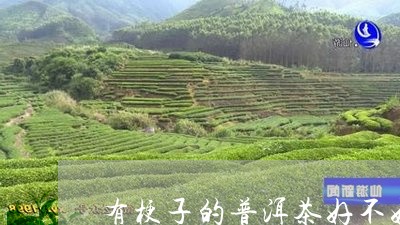 有梗子的普洱茶好不好/2023092625937