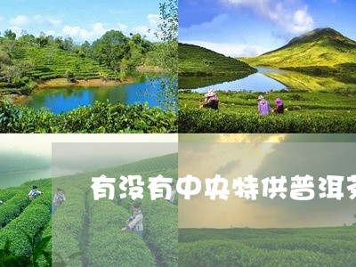 有没有中央特供普洱茶/2023100642603