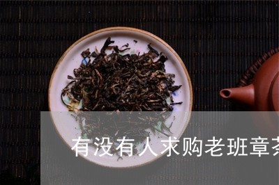 有没有人求购老班章茶/2023092333814