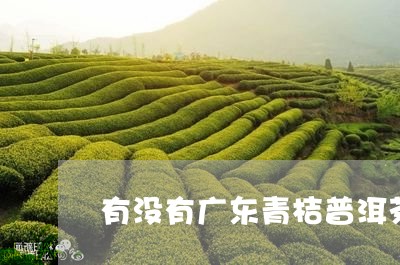 有没有广东青桔普洱茶/2023062254914