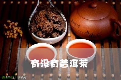 有没有普洱茶/2023042673822