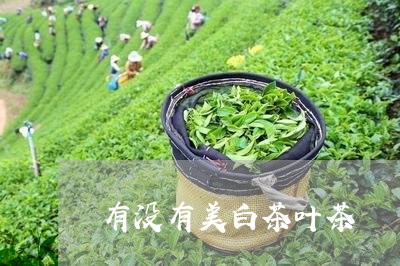 有没有美白茶叶茶/2023062113825