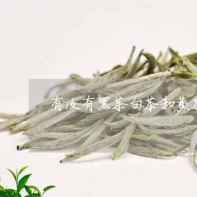 有没有黑茶白茶和黄茶/2023100125158