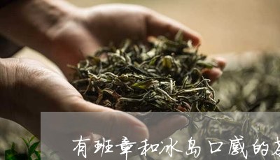 有班章和冰岛口感的茶/2023092468485