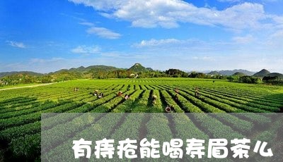 有痔疮能喝寿眉茶么/2023120584957