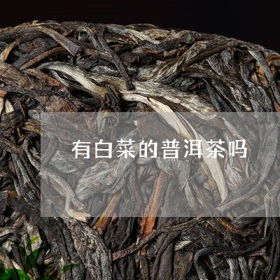 有白菜的普洱茶吗/2023082605038