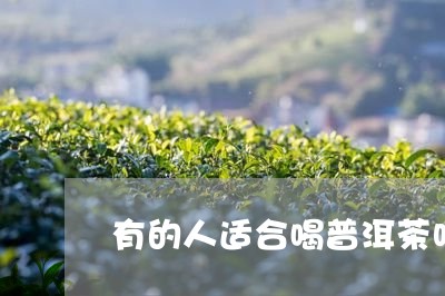 有的人适合喝普洱茶吗/2023093061503