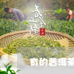 有的普洱茶为什么无味/2023063078273