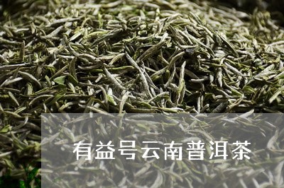 有益号云南普洱茶/2023112609260